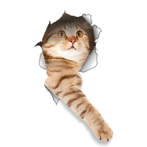Cute Cats Wall Sticker Hole View Vivid Dogs Bathroom 3D Toilet Stickers For Home Decoration Animals Decals Self-adhesive Poster