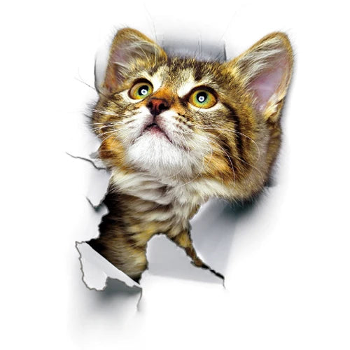 Cute Cats Wall Sticker Hole View Vivid Dogs Bathroom 3D Toilet Stickers For Home Decoration Animals Decals Self-adhesive Poster