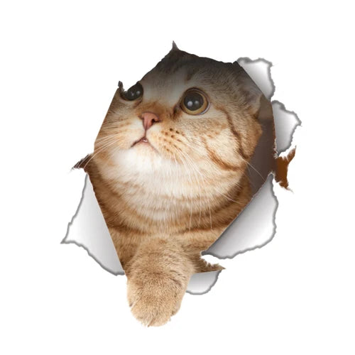 Cute Cats Wall Sticker Hole View Vivid Dogs Bathroom 3D Toilet Stickers For Home Decoration Animals Decals Self-adhesive Poster