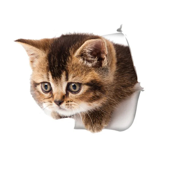 Cute Cats Wall Sticker Hole View Vivid Dogs Bathroom 3D Toilet Stickers For Home Decoration Animals Decals Self-adhesive Poster
