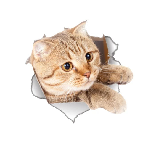 Cute Cats Wall Sticker Hole View Vivid Dogs Bathroom 3D Toilet Stickers For Home Decoration Animals Decals Self-adhesive Poster